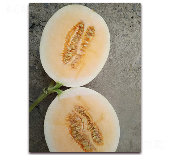 ��t-��Ƥ��ϷN��-�����N��