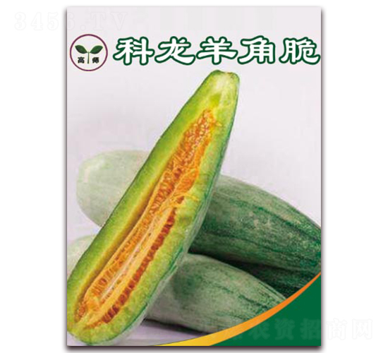 ������Ǵ�-��Ƥ��ϷN��-�����N��