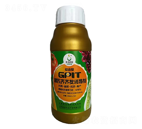 GPlT�����R�R�l(f��)�T��(d��o)��-�Wʥ�r(n��ng)�I(y��)