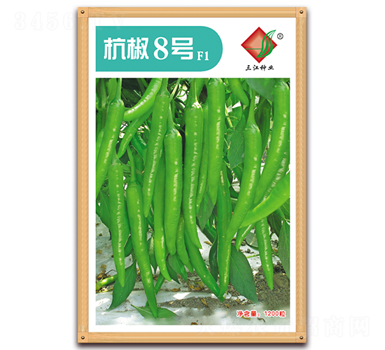 ����8̖(h��o)F1-�����N��-�����N�I(y��)