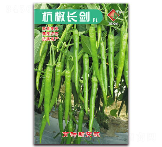 �����L(zh��ng)��F1-�����N��-�����N�I(y��)