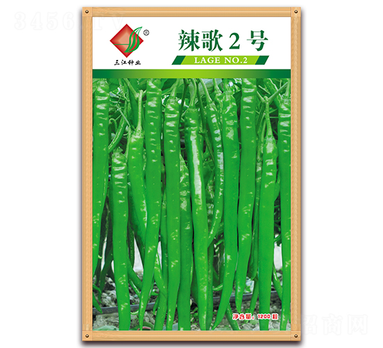 ����2̖-�����N��-�����N�I(y��)