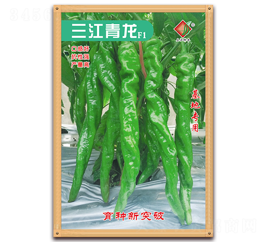 ��������F1-�����N��-�����N�I(y��)