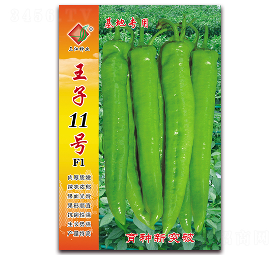 ����11̖(h��o)F1-�����N��-�����N�I(y��)