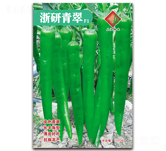 �������F1-�����N��-�����N�I(y��)