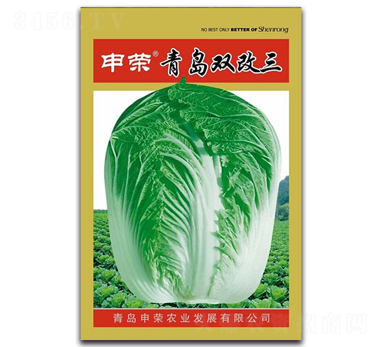 ���u�p����-��ײ˷N��-��s�r(n��ng)�I(y��)