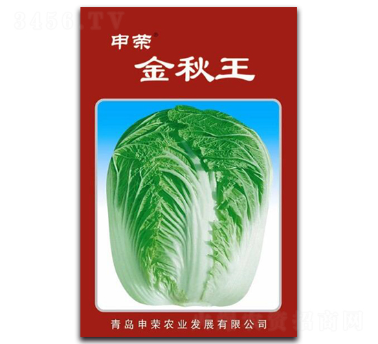 ��s������-��ײ˷N��-��s�r(n��ng)�I(y��)