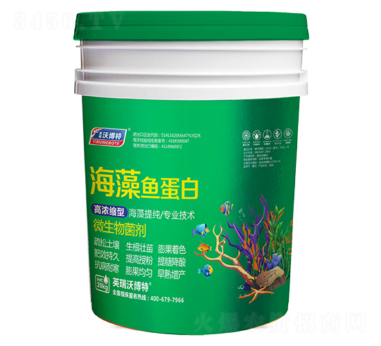 �����~���ף�ͨ���ͣ�-Ӣ���ֲ���