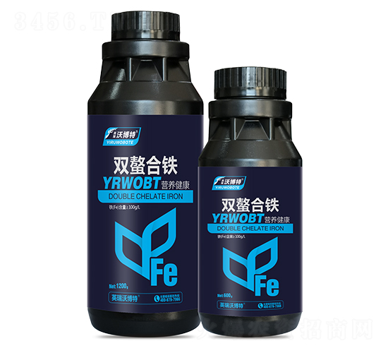 �p�����F-Ӣ���ֲ���