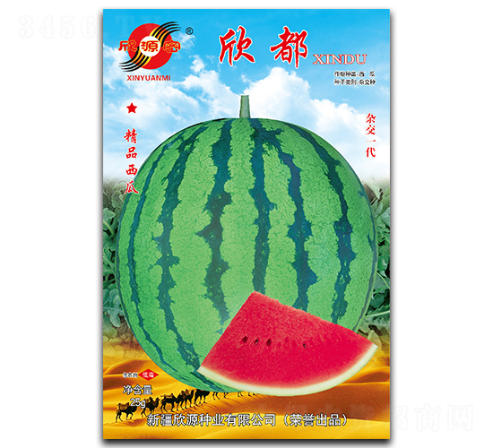 ����-���ϷN��-��Դ�N�I(y��)