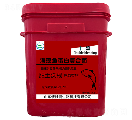 �����~���׏ͺϾ�-�Sʢ-���ő�