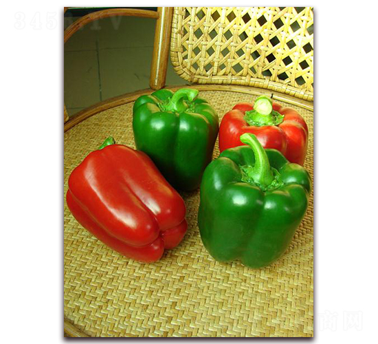 �_��-�����N��-�����