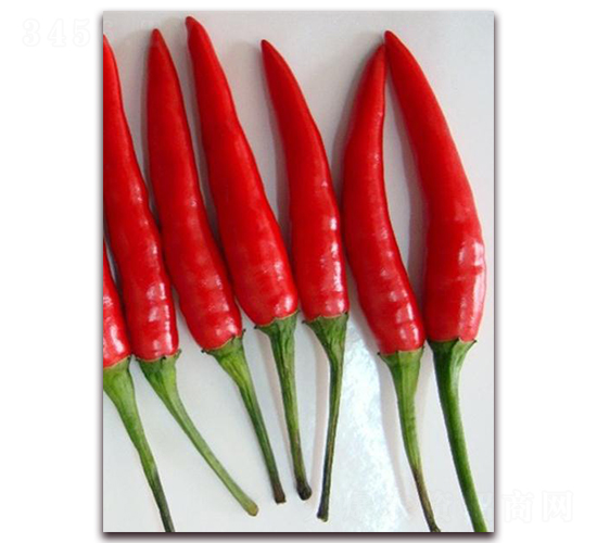 �G�t103-�����N��-�����