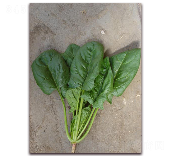 ��(y��u)�G188-���˷N��-�����