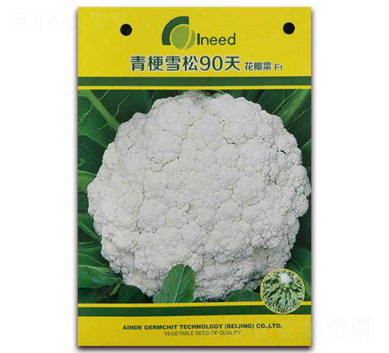 �๣ѩ��90�컨Ҭ��F1-��Ҭ�˷N��-�����