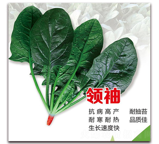 �I(l��ng)�䲤��-���˷N��-¡�_(d��)