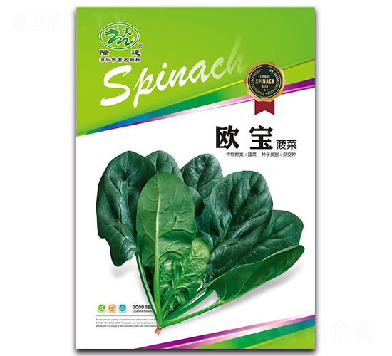 �W������-���˷N��-¡�_(d��)