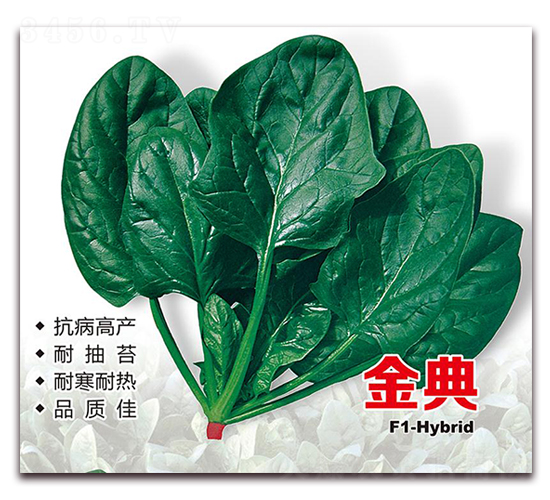 ��䲤��-���˷N��-¡�_(d��)