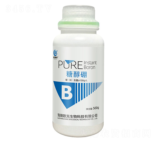 �Ǵ���-�W�˻��r(n��ng)-�W������