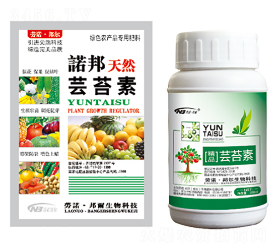 �|̦��-������