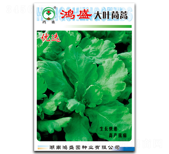 ��ʢ���~����-����N��-��ʢ�@