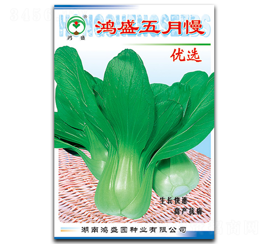 ��ʢ������-��˷N��-��ʢ�@