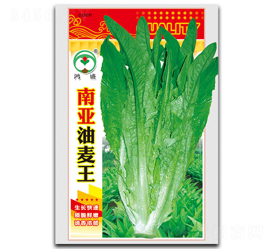 �ρ�������-�����˷N��-��ʢ�@