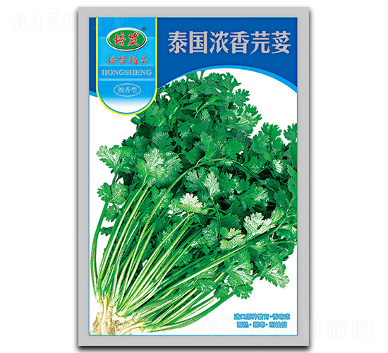 ̩������ܾݴ-ܾݴ�N��-��ʢ�@