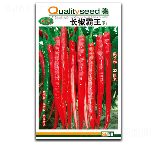 �L������-�����N��-��ʢ�@