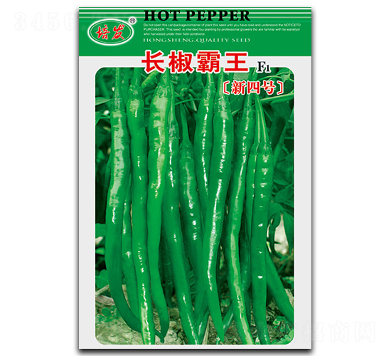 �L(zh��ng)����������̖(h��o)-�����N��-��ʢ�@