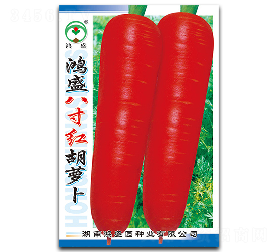 ��ʢ�˴�t-���}���N��-��ʢ�@