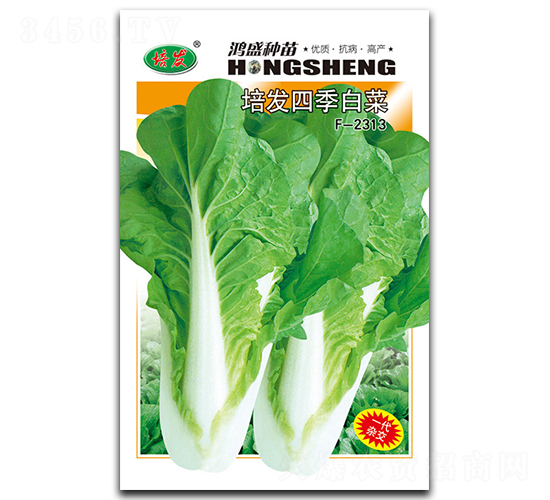 ��l(f��)�ļ�-�ײ˷N��-��ʢ�@