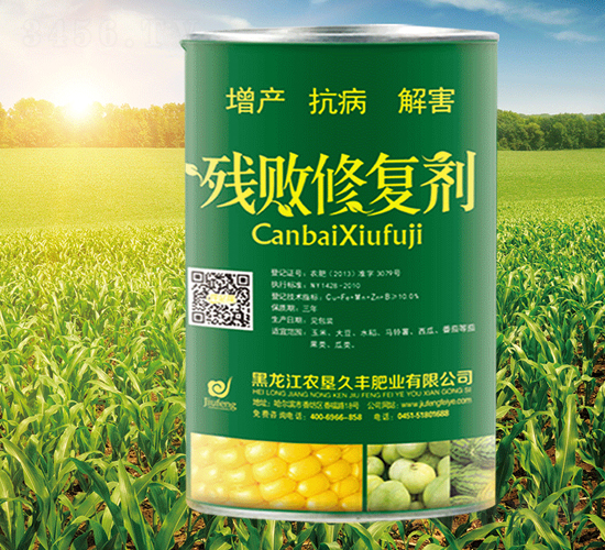 �����ޏ�(f��)��-�r(n��ng)�����S