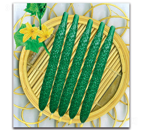 �½�13̖-�S�ϷN��-�����o(j��)�N��