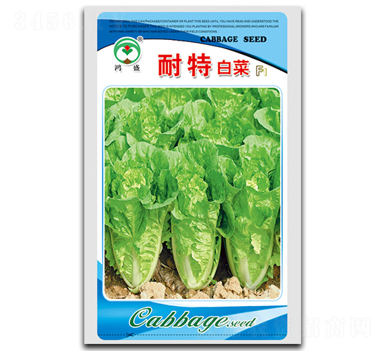 ����-�ײ˷N��-��ʢ�@