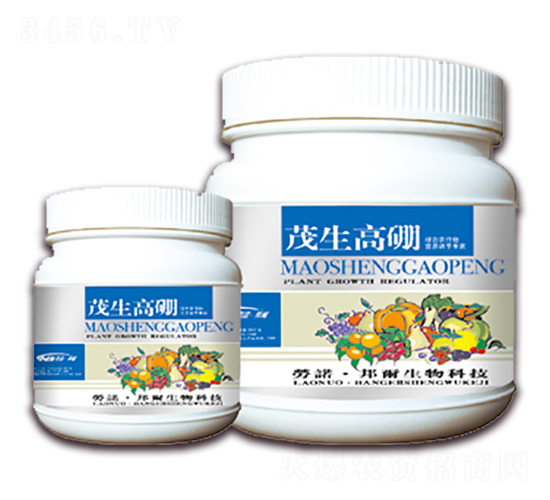 ï�����-������