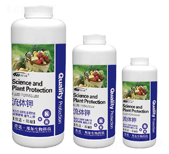 ���w�-������