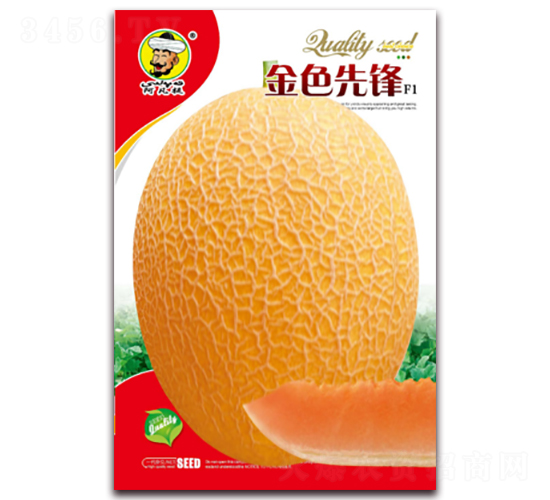 ��ɫ���hF1-��ϷN��-�F(xi��n)���N�I(y��)