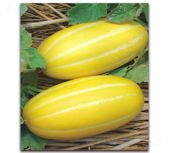 ������-��ϷN��-����