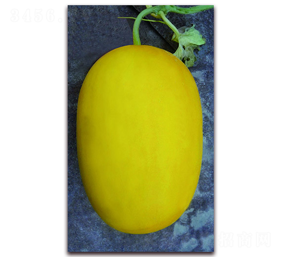 ���@����-��ϷN��-����