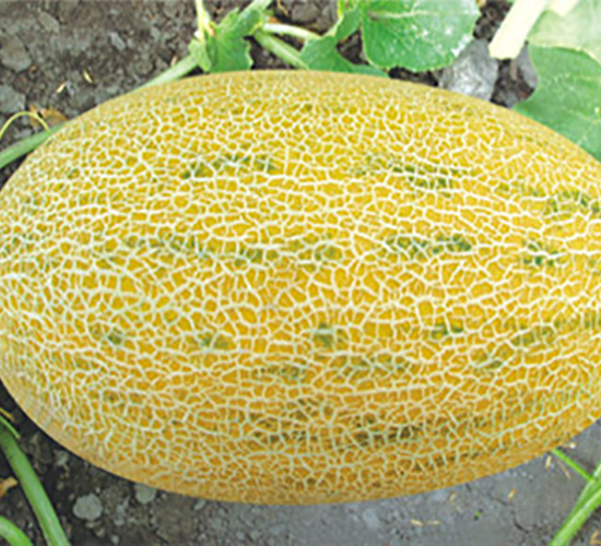 ���@����-��ϷN��-����