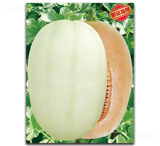 �|������-��ϷN��-����