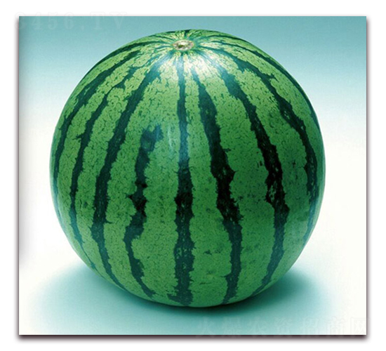 ����-���ϷN��-����