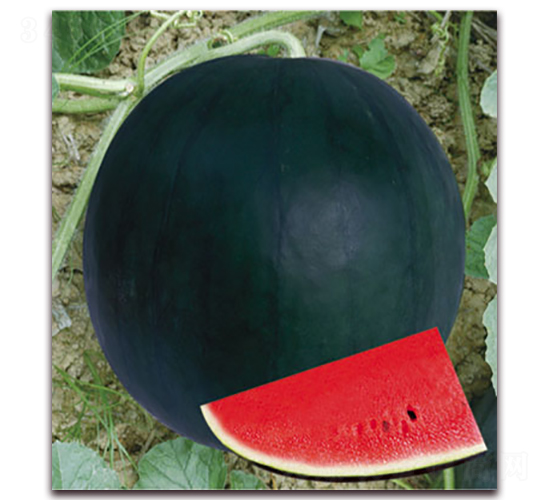 ī��-���ϷN��-����