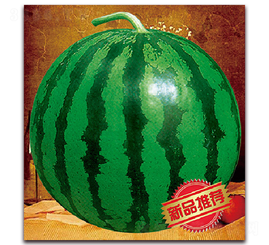 �����I(l��ng)��-���ϷN��-����