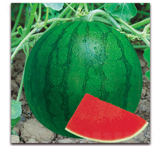 ��һ̖-���ϷN��-����