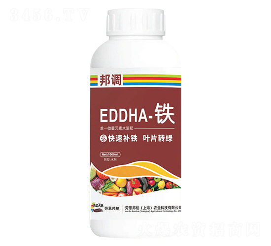 EDDHA���F-���{(di��o)-�ڶ����