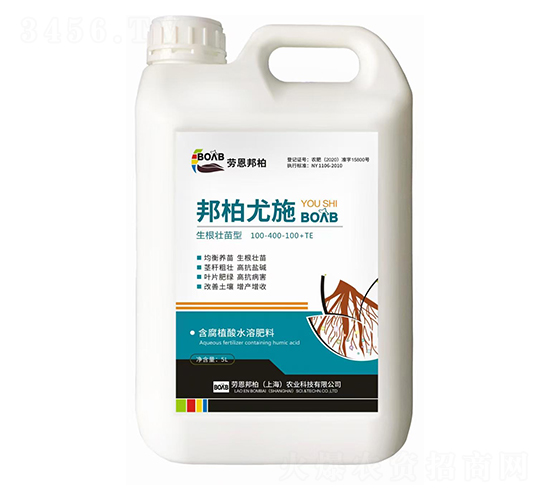 �����ʩ�����������ͣ�-�ڶ����