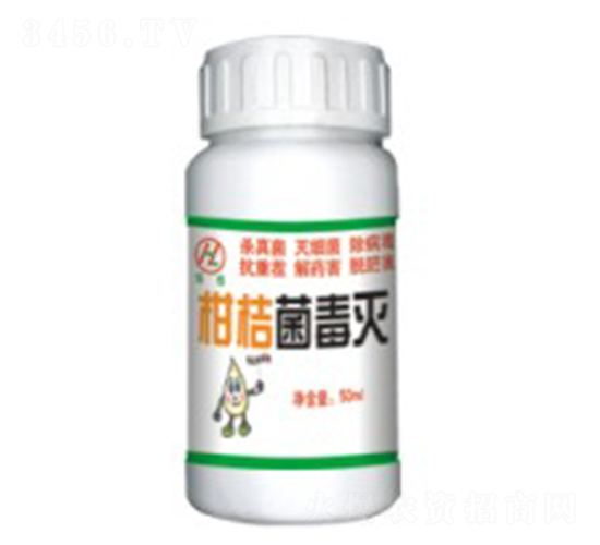 �̽۾�����-��Gֲ��