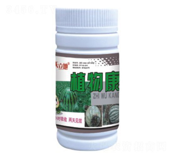 ֲ�￵-��Gֲ��